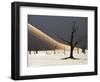 Blackened Camelthorn Trees in Dead Vlei, Near Sossusvlei, Namibia-Julian Love-Framed Photographic Print