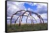 Blackfeet Sweat Lodge Frame Located on a Buffalo Jump Bluff in Montana-Angel Wynn-Framed Stretched Canvas