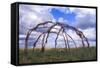 Blackfeet Sweat Lodge Frame Located on a Buffalo Jump Bluff in Montana-Angel Wynn-Framed Stretched Canvas