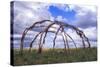 Blackfeet Sweat Lodge Frame Located on a Buffalo Jump Bluff in Montana-Angel Wynn-Stretched Canvas