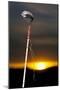 Blackfeet Talking Stick with Painted Designs, Aka Speakers Staff (PR)-Angel Wynn-Mounted Photographic Print