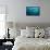 Blackfin Barracuda (Sphyraena Qenie) Pacific Ocean-Reinhard Dirscherl-Framed Stretched Canvas displayed on a wall