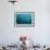 Blackfin Barracuda (Sphyraena Qenie) Pacific Ocean-Reinhard Dirscherl-Framed Photographic Print displayed on a wall