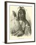 Blackfoot Indian Chief-null-Framed Giclee Print