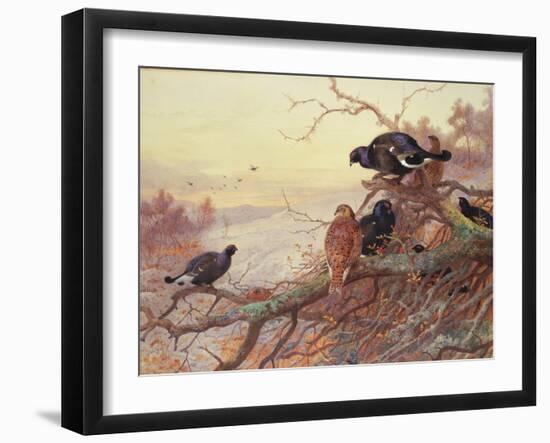 Blackgame in Winter-Archibald Thorburn-Framed Giclee Print