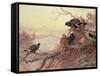 Blackgame in Winter-Archibald Thorburn-Framed Stretched Canvas