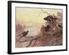 Blackgame in Winter-Archibald Thorburn-Framed Giclee Print