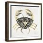 BlackGold-Crab-Artprint-Cat Coquillette-Framed Premium Giclee Print