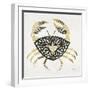 BlackGold-Crab-Artprint-Cat Coquillette-Framed Premium Giclee Print