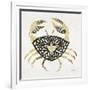 BlackGold-Crab-Artprint-Cat Coquillette-Framed Giclee Print