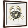 BlackGold-Crab-Artprint-Cat Coquillette-Framed Giclee Print