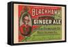 Blackhawk Ginger Ale-null-Framed Stretched Canvas