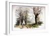 Blackheath, Greenwich, London, C1835-null-Framed Giclee Print