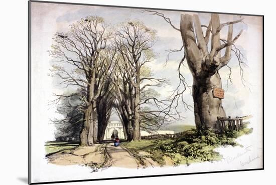 Blackheath, Greenwich, London, C1835-null-Mounted Giclee Print