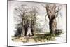 Blackheath, Greenwich, London, C1835-null-Mounted Giclee Print