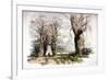 Blackheath, Greenwich, London, C1835-null-Framed Giclee Print