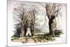 Blackheath, Greenwich, London, C1835-null-Mounted Giclee Print