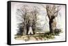 Blackheath, Greenwich, London, C1835-null-Framed Stretched Canvas