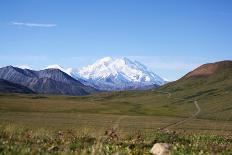 Mt. Mckinley-blackmarigolds-Framed Photographic Print