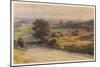 Blackmore Vale-null-Mounted Art Print