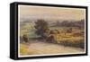 Blackmore Vale-null-Framed Stretched Canvas