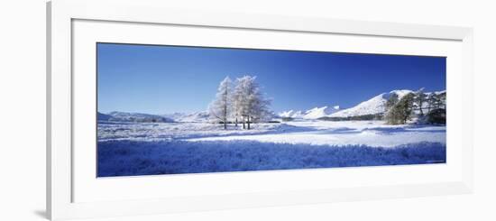 Blackmount, Rannoch Moor, Scotland-Peter Adams-Framed Photographic Print