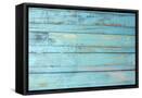 Framed Canvas
