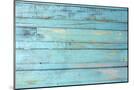 Wood Mount