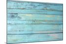 Wood Mount