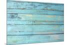 Wood Mount