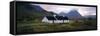 Blackrock Cottage, Rannoch Moor, Glencoe (Glen Coe), Highlands Region, Scotland-Gavin Hellier-Framed Stretched Canvas