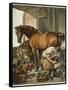 Blacksmith Puts a New Shoe on a Bay Mare-Edwin Henry Landseer-Framed Stretched Canvas