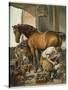 Blacksmith Puts a New Shoe on a Bay Mare-Edwin Henry Landseer-Stretched Canvas