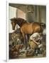 Blacksmith Puts a New Shoe on a Bay Mare-Edwin Henry Landseer-Framed Photographic Print