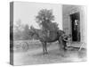 Blacksmith Shoeing a Horse-null-Stretched Canvas