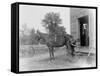 Blacksmith Shoeing a Horse-null-Framed Stretched Canvas