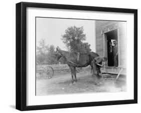 Blacksmith Shoeing a Horse-null-Framed Premium Photographic Print