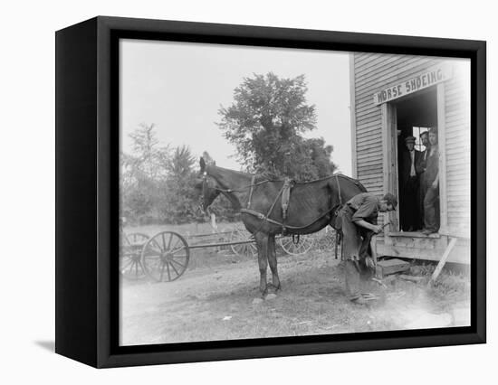 Blacksmith Shoeing a Horse-null-Framed Stretched Canvas
