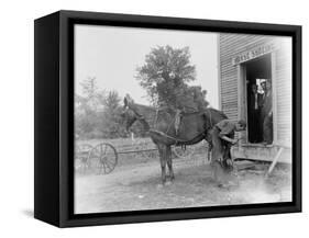 Blacksmith Shoeing a Horse-null-Framed Stretched Canvas