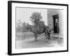 Blacksmith Shoeing a Horse-null-Framed Photographic Print