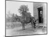 Blacksmith Shoeing a Horse-null-Mounted Photographic Print