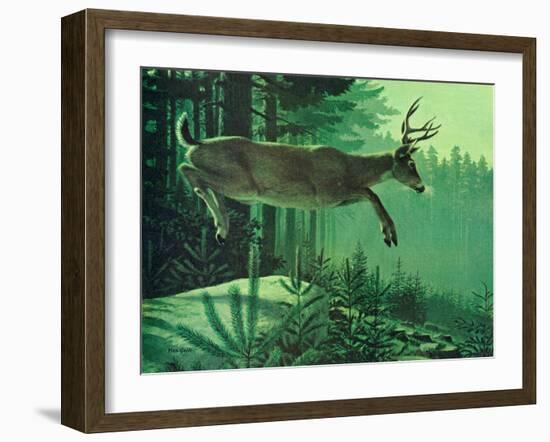 Blacktail Buck-Stan Galli-Framed Giclee Print