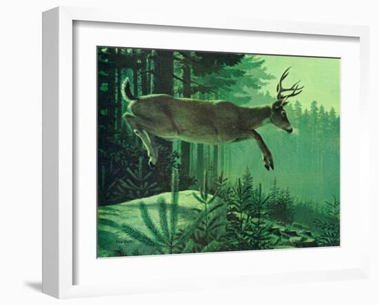 Blacktail Buck-Stan Galli-Framed Giclee Print