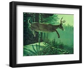 Blacktail Buck-Stan Galli-Framed Giclee Print