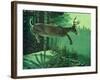 Blacktail Buck-Stan Galli-Framed Giclee Print