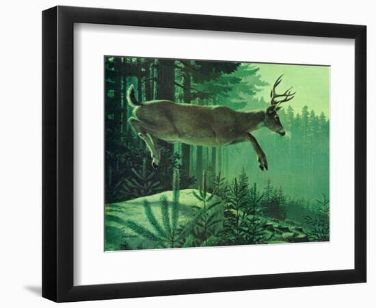 Blacktail Buck-Stan Galli-Framed Premium Giclee Print