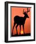 Blacktail or Mule Deer Silhouetted at Sunset, Olympic National Park, Washington, USA-Art Wolfe-Framed Photographic Print