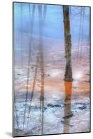 Blacktail Plateau Reflection Design, Yellowstone-Vincent James-Mounted Photographic Print