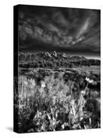 Blacktail Ponds Overlook-Dean Fikar-Stretched Canvas