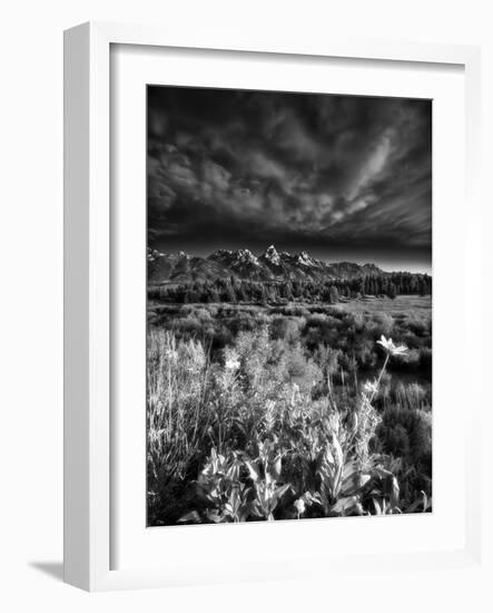 Blacktail Ponds Overlook-Dean Fikar-Framed Photographic Print